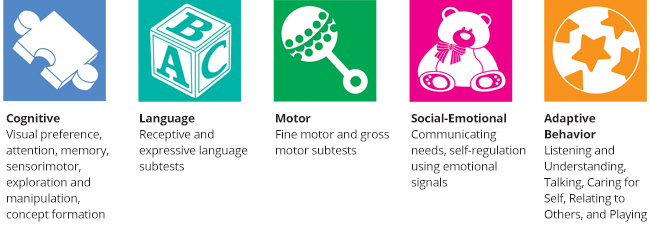 Five developmental domains