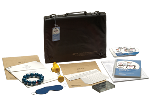 Dyslexia Screening Test-Secondary